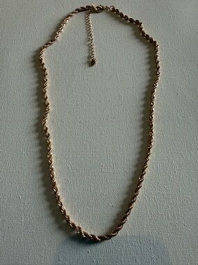 NEW Nordstrom Gold-Tone Twisted Rope Necklace